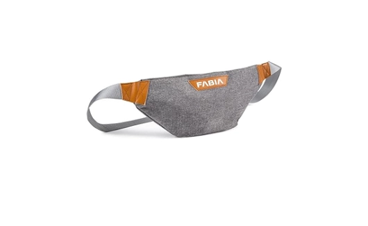 Сумка на пояс Fabia (6VA087314) 1